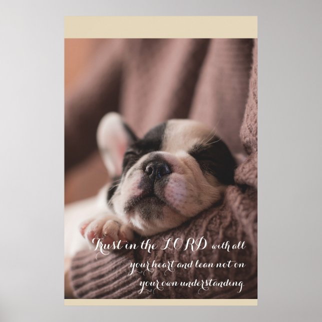 Sleeping puppy, christian poster (Front)