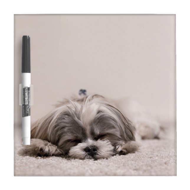 Sleeping Puppy Dry-Erase Board (Front)