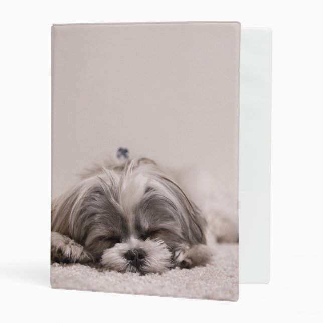 Sleeping Puppy Mini Binder (Front/Inside)