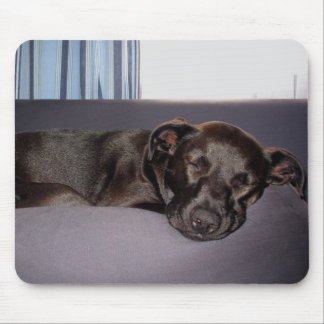 Sleeping Puppy Mouse Pad