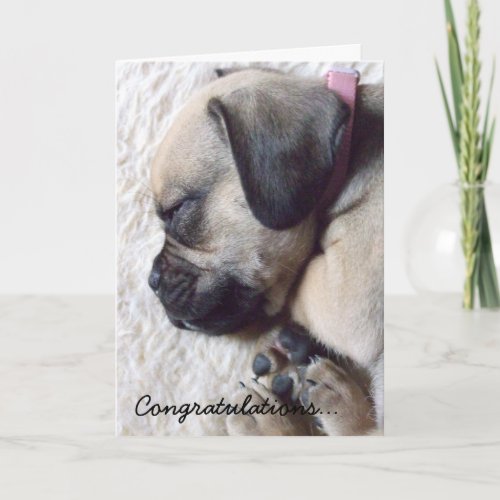 Sleeping Puppy New Puppy Greeting Card