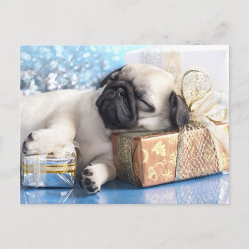 Sleeping  puppy pug and Christmas gifts Holiday Postcard