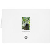 Sleeping Raccoon Greeting Card (Back Horizontal)