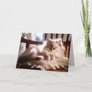 Sleeping Ragdoll Kitten Get Well Soon Card