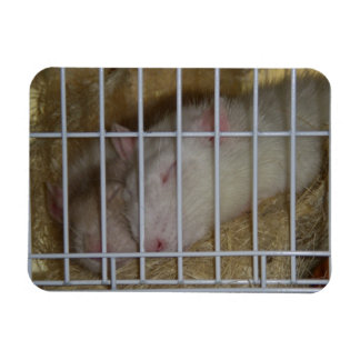 Sleeping Rats Flexi Magnet