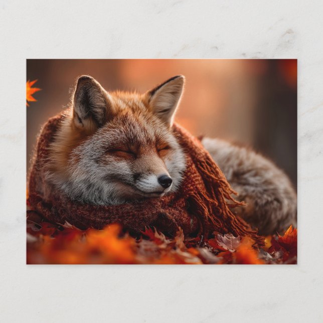 Sleeping Red Fox in a Cozy Autumn Scarf Postcard (Front)