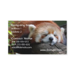 Sleeping Red Panda  Business Card