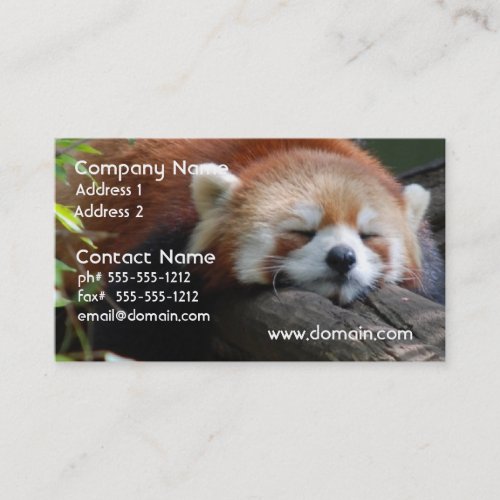 Sleeping Red Panda  Business Card