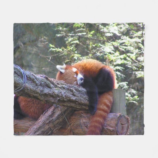 Sleeping Red Panda Fleece Blanket | Zazzle.com