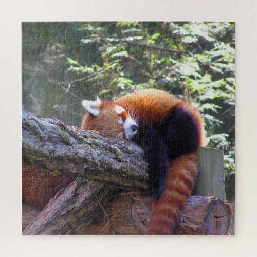 Sleeping Red Panda Jigsaw Puzzle