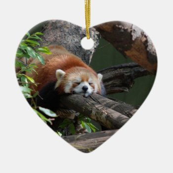 Sleeping Red Panda  Ornament by WildlifeAnimals at Zazzle