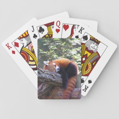 Sleeping Red Panda Poker Cards