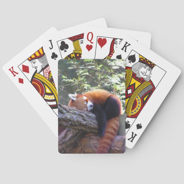 Sleeping Red Panda Poker Cards (Back)