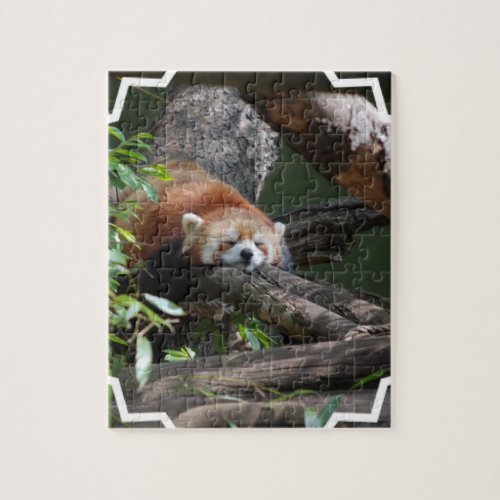 Sleeping Red Panda puzzle