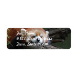 Sleeping Red Panda  Return Address Mailing Label