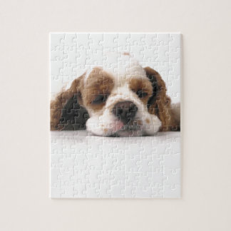 Sleeping Red/White Cocker Spaniel Jigsaw Puzzle
