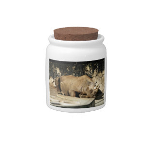 Sleeping Rhino Candy Jar