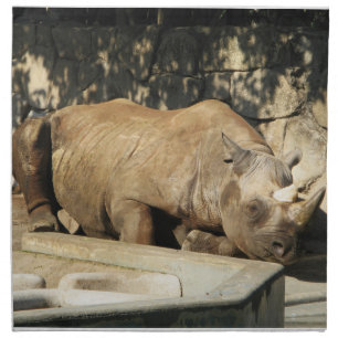 Sleeping Rhino Cloth Napkin