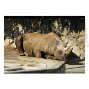 Sleeping Rhino Greeting Card