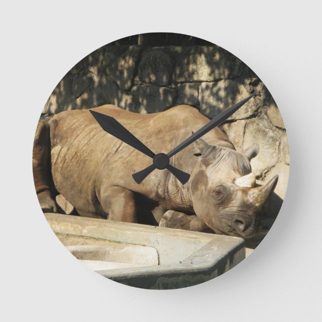 Sleeping Rhino Round Clock (Front)