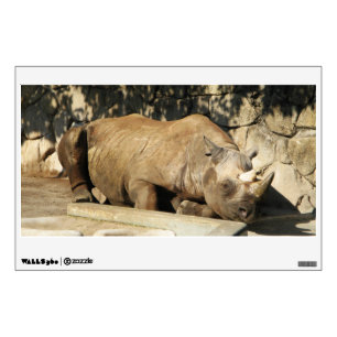 Sleeping Rhino Wall Sticker