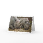 Sleeping Rhinos Greeting Card