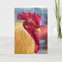sleeping rooster for birthday humor card