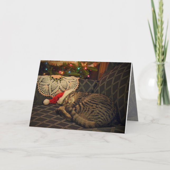 Sleeping Santa Daisy Kitty Cat Kitten Holiday Card (Front)