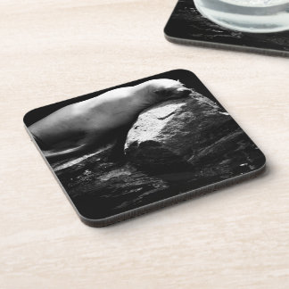 Sleeping Sea Lion .1781 Beverage Coaster