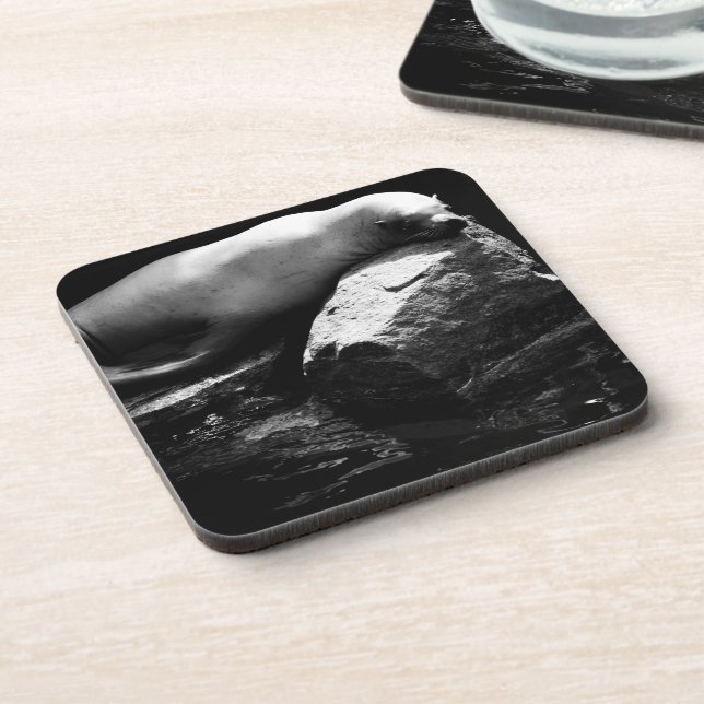 Sleeping Sea Lion .1781 Beverage Coaster (Left Side)