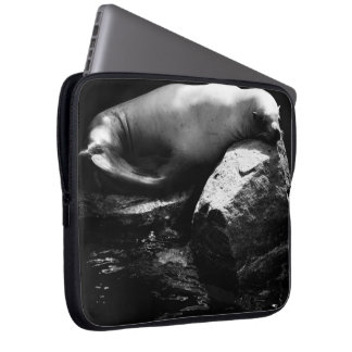 Sleeping Sea Lion .1781 Laptop Sleeve