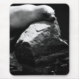 Sleeping Sea Lion .1781 Mouse Pad