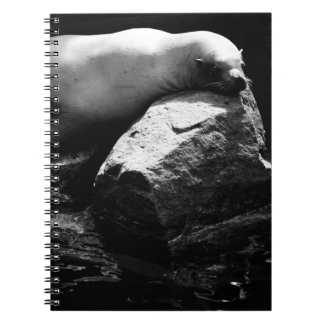 Sleeping Sea Lion .1781 Notebook