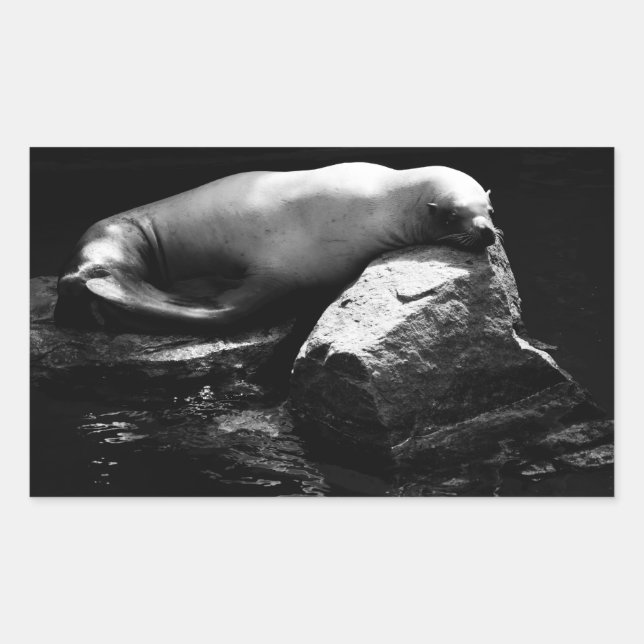 Sleeping Sea Lion .1781 Rectangular Sticker (Front)