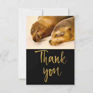 Sleeping Sea Lions Thank You Card