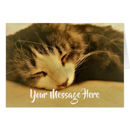 Sleeping Sepia Cat Napping Cards (Front Horizontal)