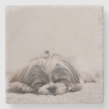 Shih Tzu Decorative Coasters Dog == 50% STFBR Shih Tzu Decorative Coasters Dog == 50% STFBR