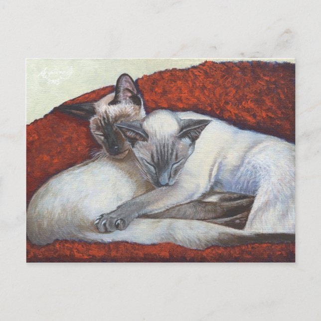 Sleeping Siamese Cat Art Postcard (Front)
