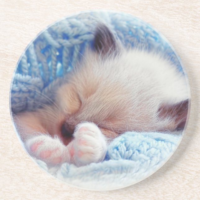 Sleeping Siamese Kitten Paws Coaster (Front)