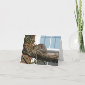 Sleeping Squirrel Card