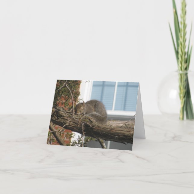 Sleeping Squirrel Card (Front)