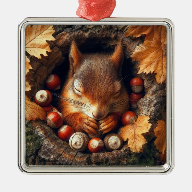 Sleeping Squirrel Ornament (Front)