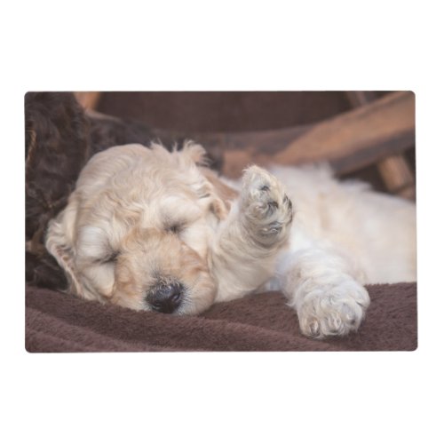 Sleeping Standard Poodle puppy Placemat
