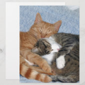 Sleeping Sweeties (Front/Back)