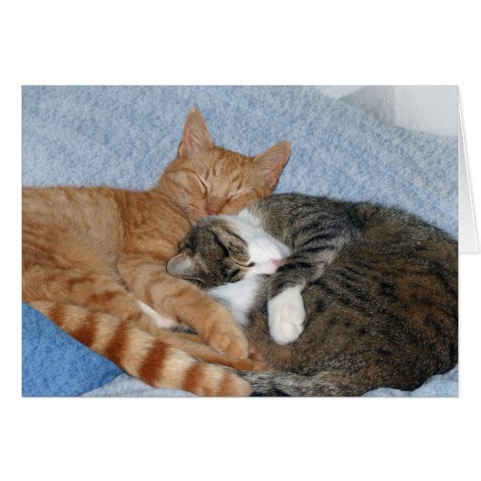 Sleeping Sweeties Cards (Front Horizontal)