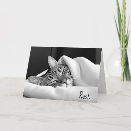 Sleeping Tabby Cat for Get Well Soon Card