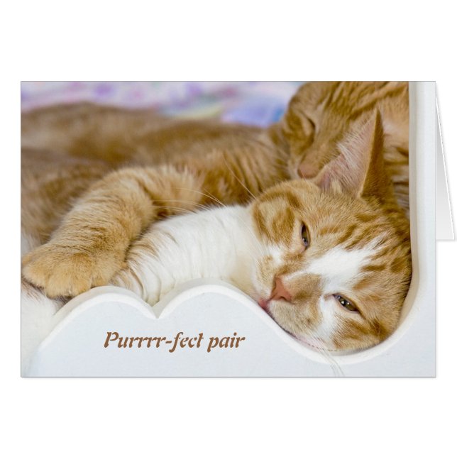 sleeping tabby cats hugging valentine cards (Front Horizontal)
