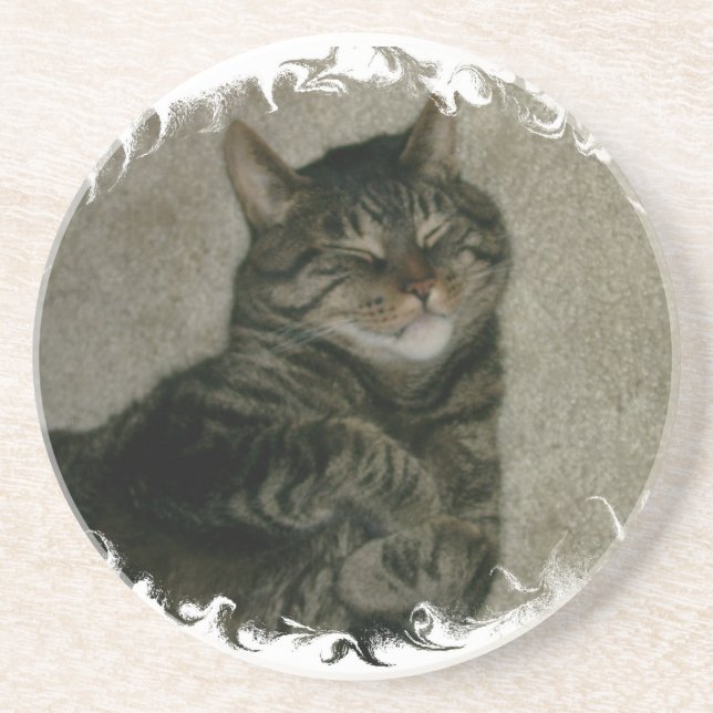 Sleeping Tabby Kitty Cat Coaster (Front)