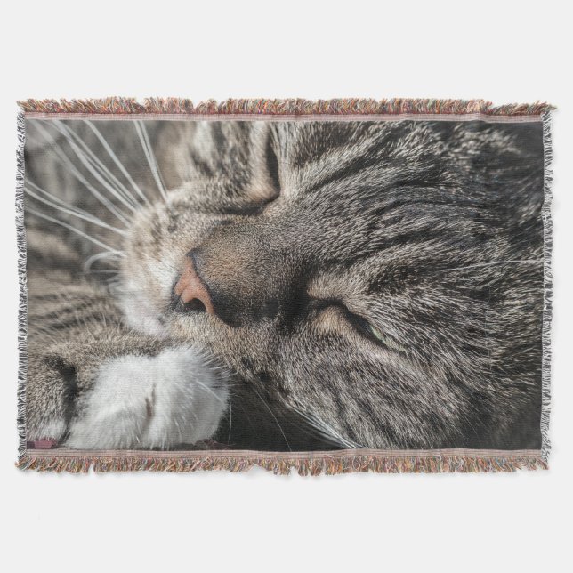 Sleeping Tabby Throw Blanket (Front)