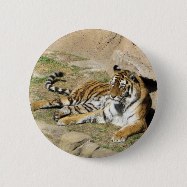 Sleeping Tiger Button (Front)